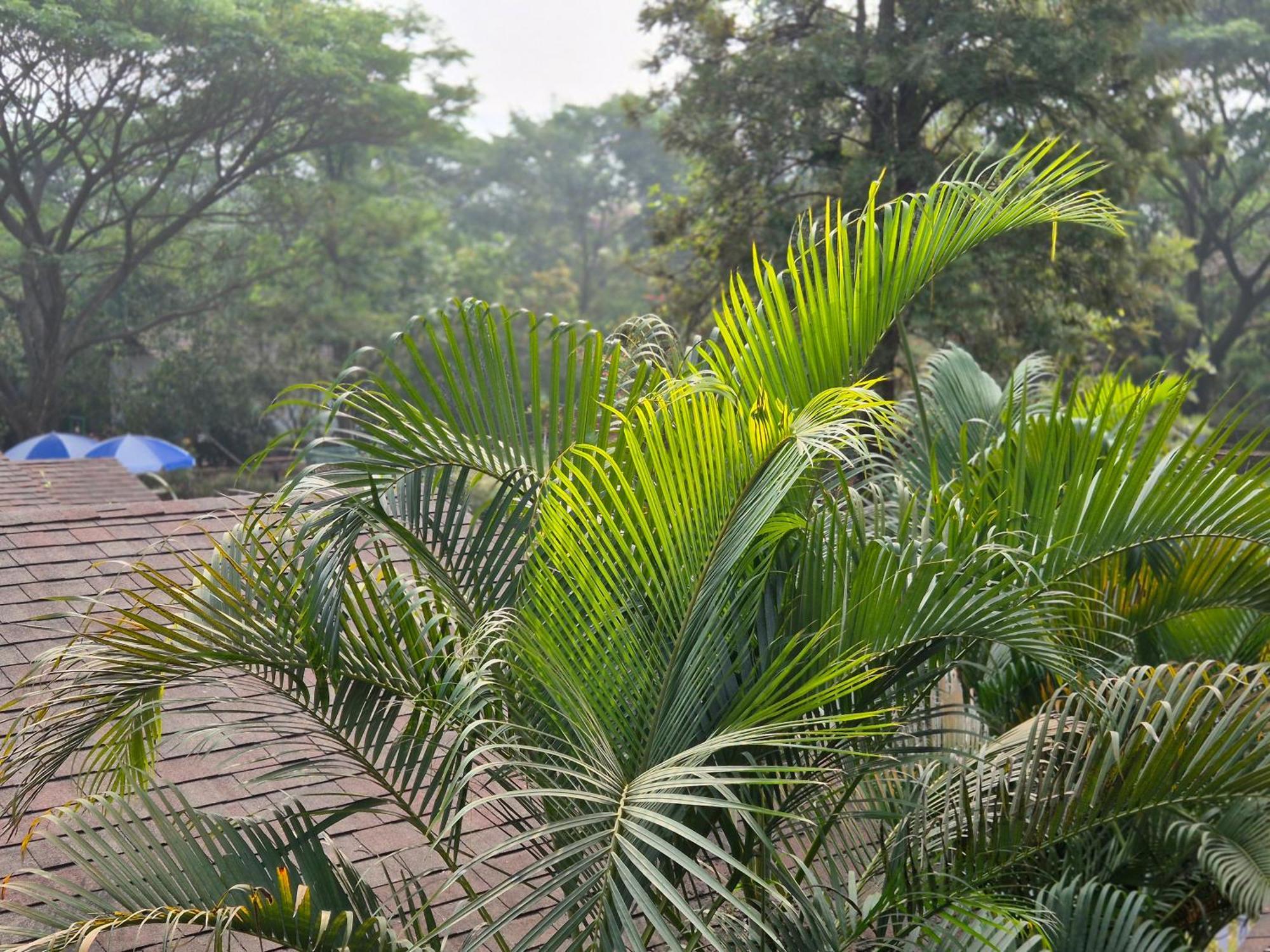 Camp Temgarh Hotel Lavasa Exterior photo